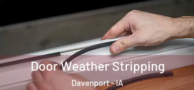  Door Weather Stripping Davenport - IA