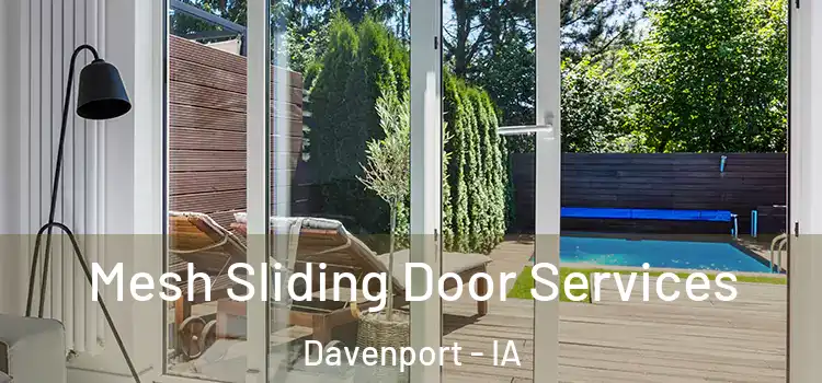  Mesh Sliding Door Services Davenport - IA